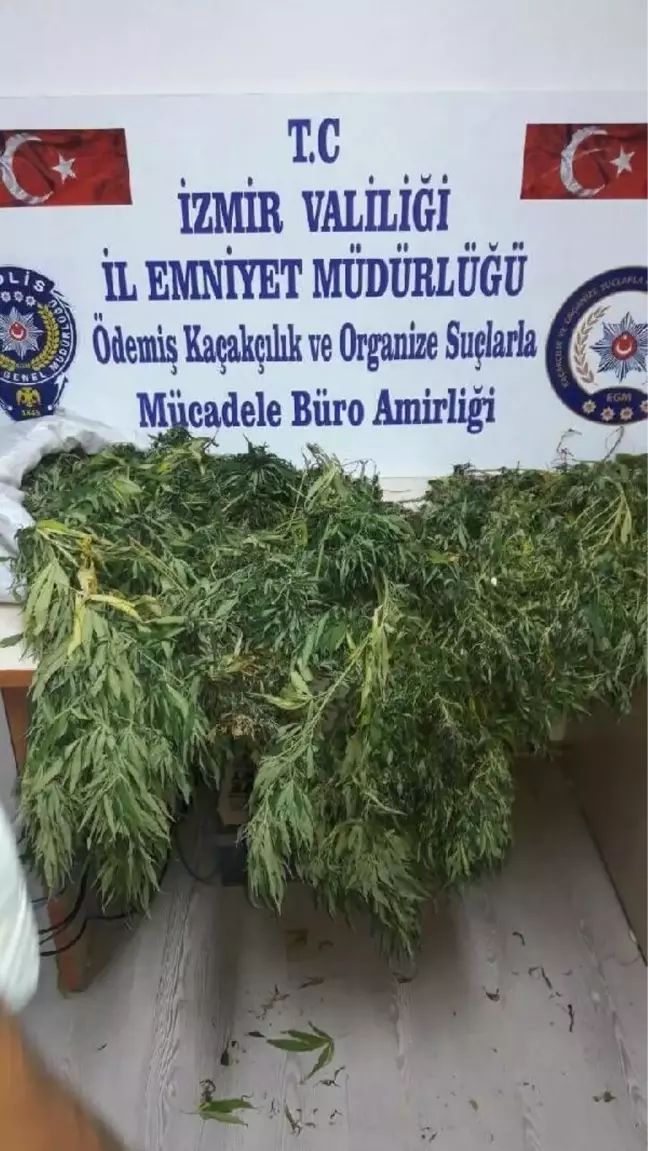 Ödemiş'te Uyuşturucu Operasyonu: 1 Tutuklama
