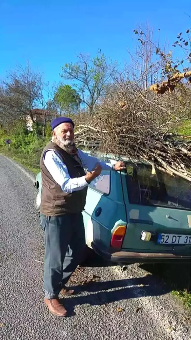 Ordu'da Erkek Cesedi Bulundu