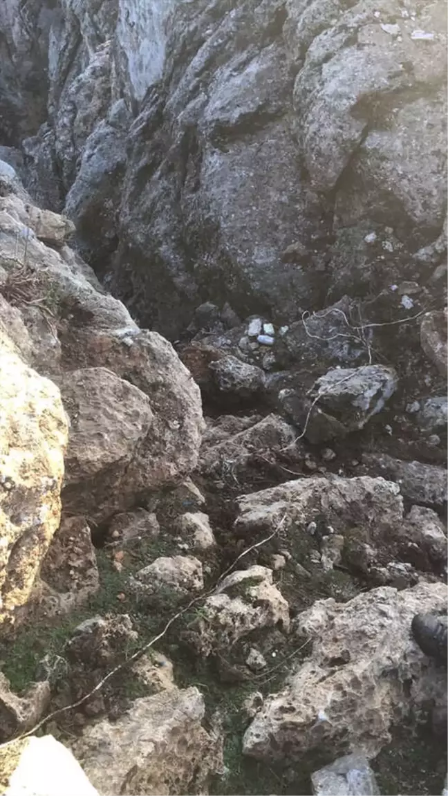 Şırnak'ta Terör Operasyonu