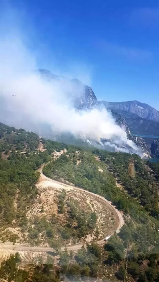 Manavgat'ta Orman Yangını (1)