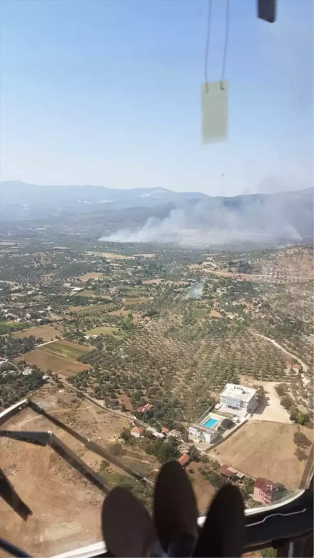 Muğla'da Orman Yangını