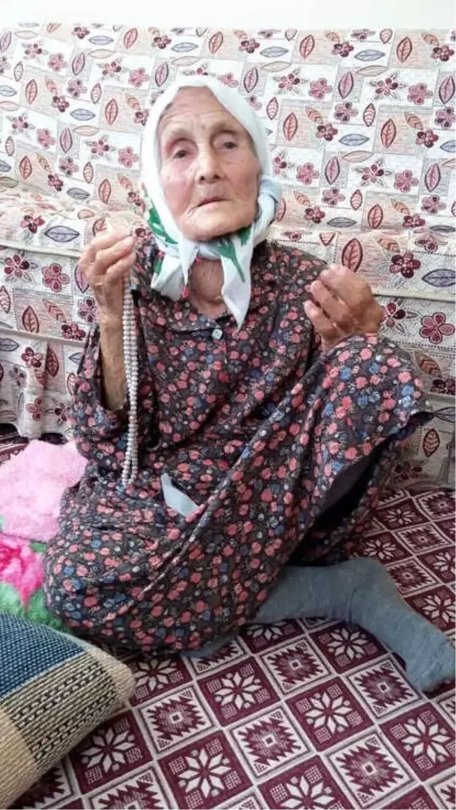 Nazilli'nin 114'lük Çınarını Kaybetti