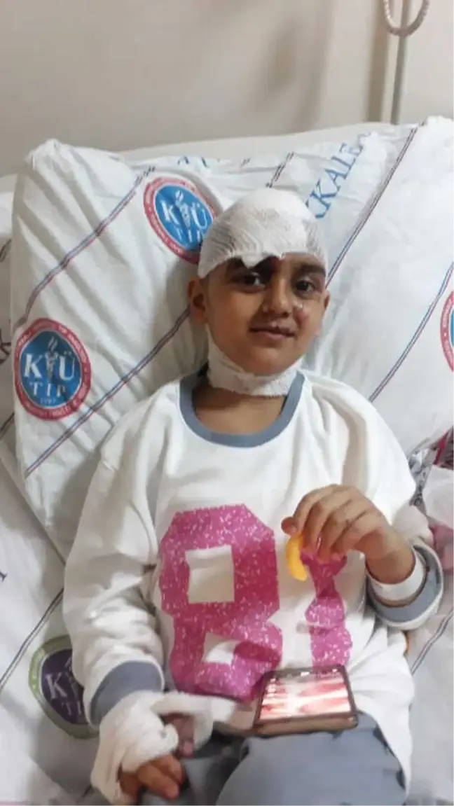 Öğrenciyi Isıran Pitbull Sahibinden Alındı, Soruşturma Başlatıldı