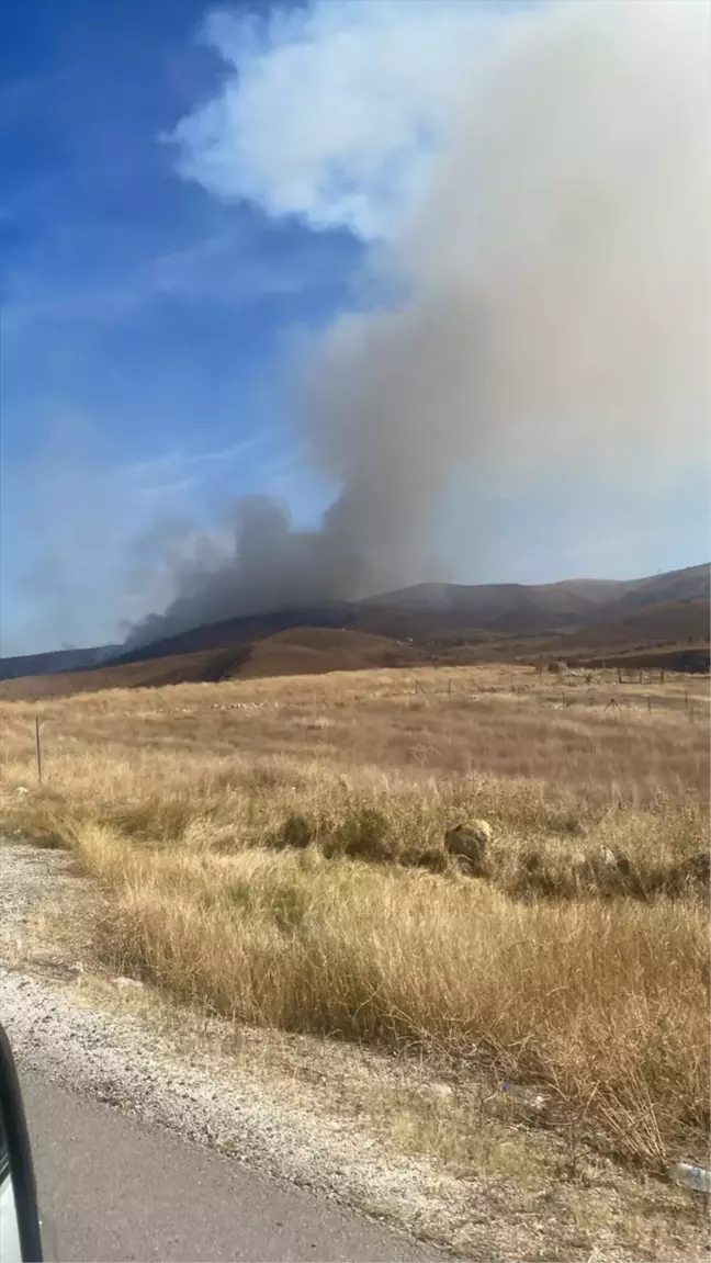 Çankırı'da ormanlık alandaki yangın söndürüldü