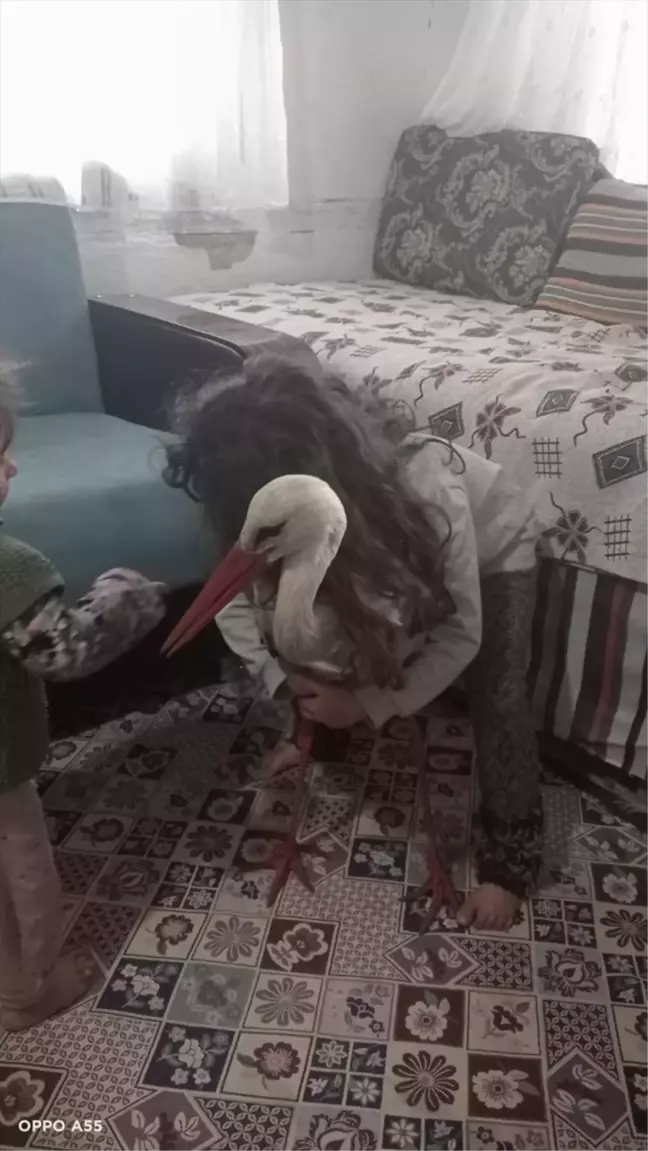 Tufanbeyli'de düşen leyleğin bakımı vatandaşlar tarafından üstlenildi