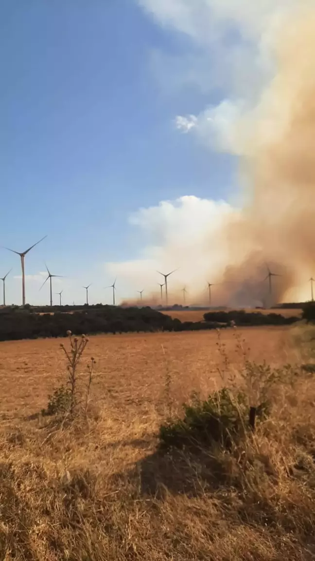 Çanakkale'de Tarım Arazisinde Yangın Çıktı