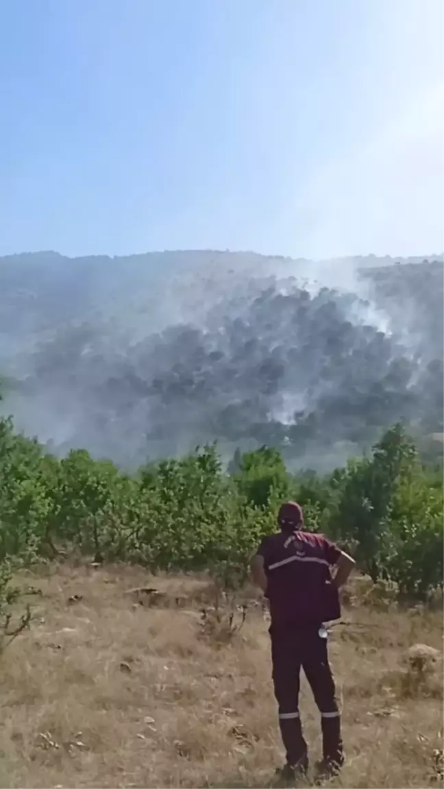 Siirt'te çıkan yangınlar kontrol altına alındı