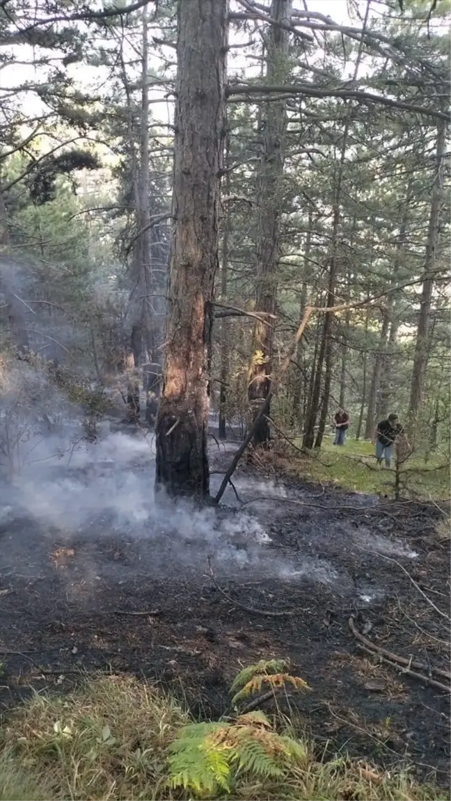 Mudurnu'da çıkan orman yangını kısa sürede söndürüldü