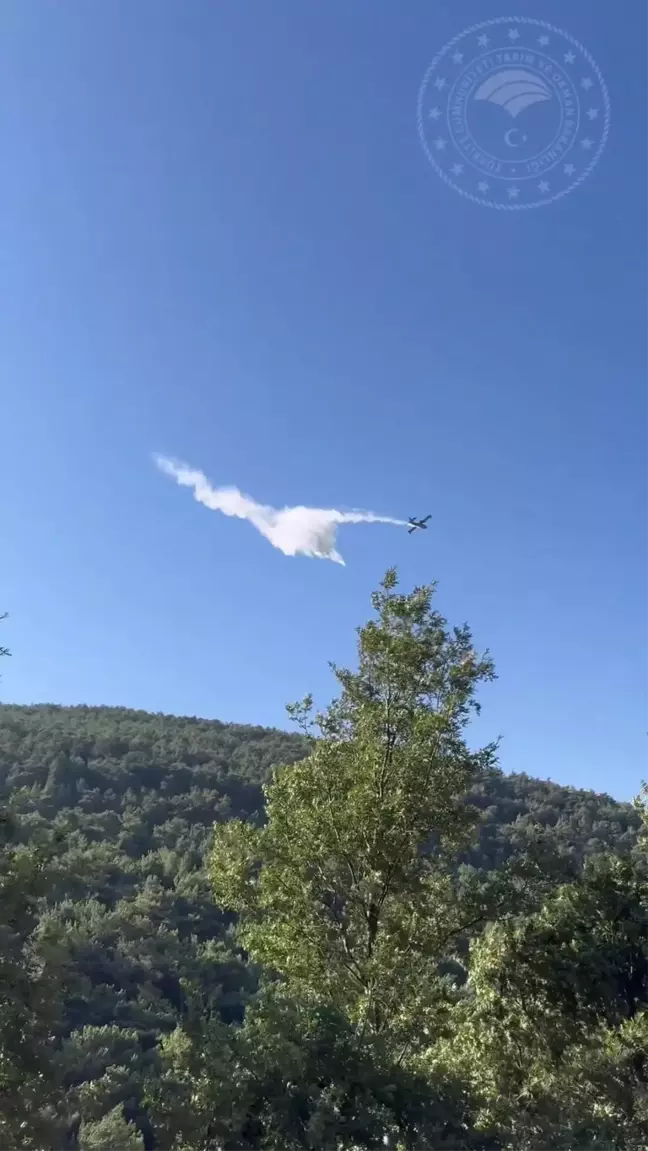 İzmir'in Bergama ilçesinde çıkan orman yangını kontrol altına alındı