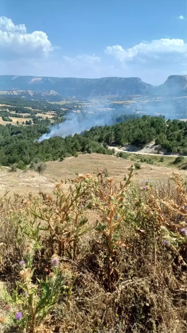 Bilecik'teki tarlada çıkan yangın söndürüldü