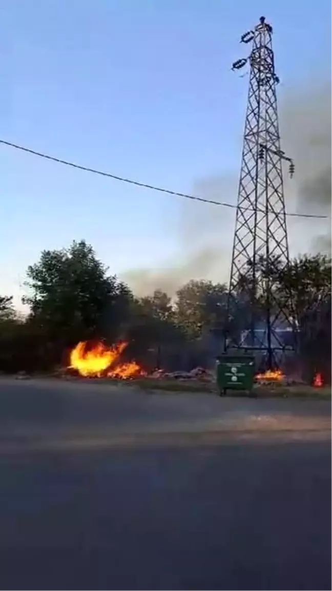 Sapanca'da Elektrik Kablosu Kopmasıyla Yangın Çıktı