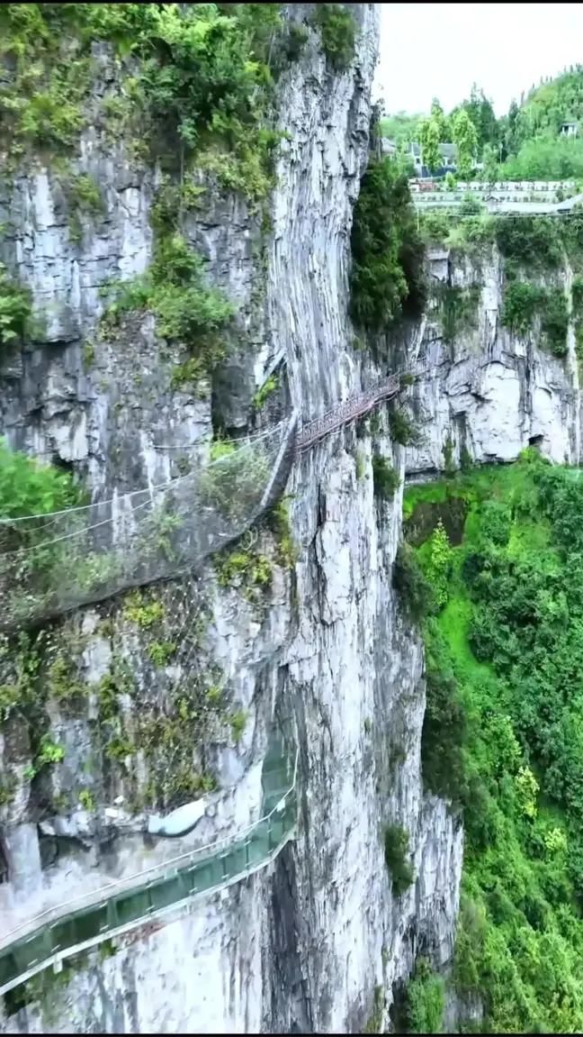 Çin'deki Cam Yürüyüş Parkuru Turistlerin İlgi Odağı Haline Geldi