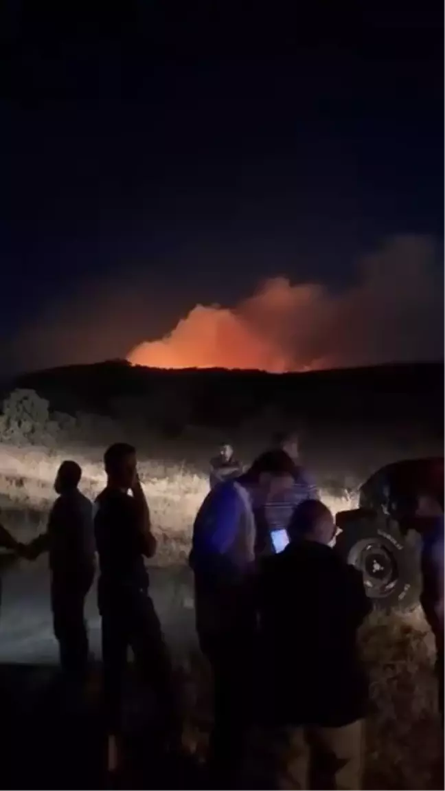 Elazığ'da Orman Yakınında Çıkan Örtü Yangını Söndürüldü