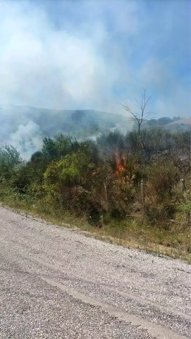 Sinop'un Türkeli ilçesinde çıkan anız yangını söndürüldü