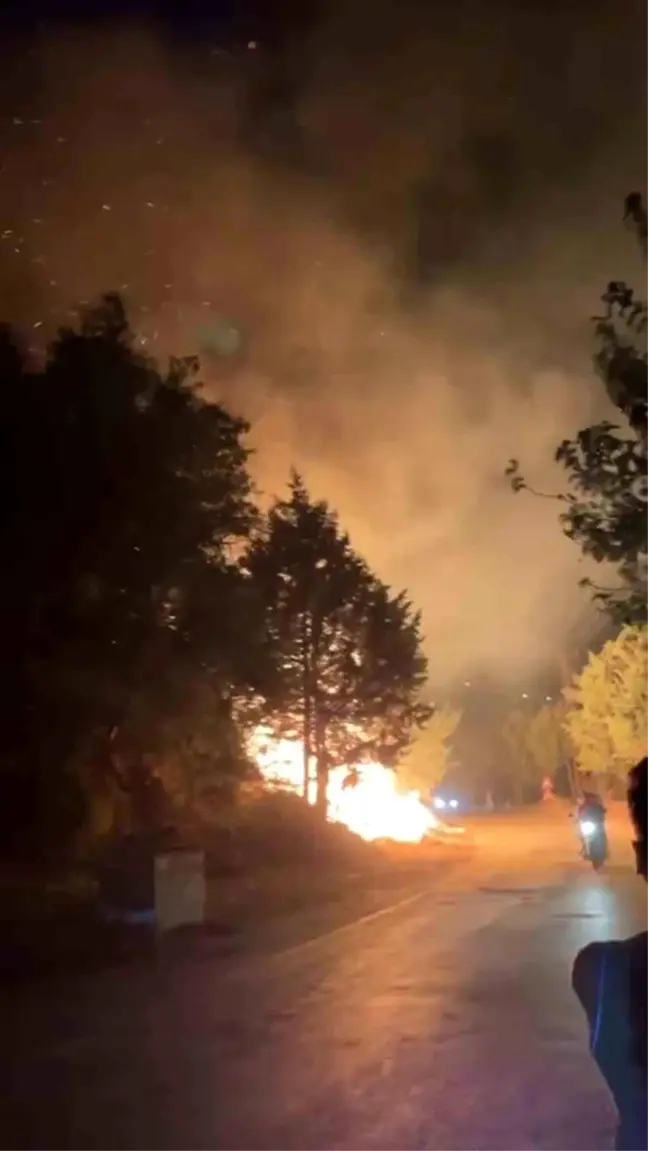 Hatay'da ağaçlık alandaki yangın kısa sürede söndürüldü