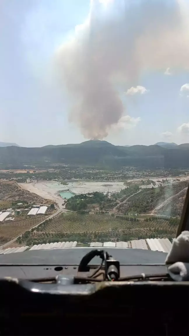 İzmir'de Orman Yangını Çıktı