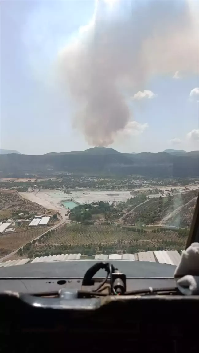 İzmir'in Menderes ilçesinde ormanlık alanda çıkan yangına müdahale başlatıldı