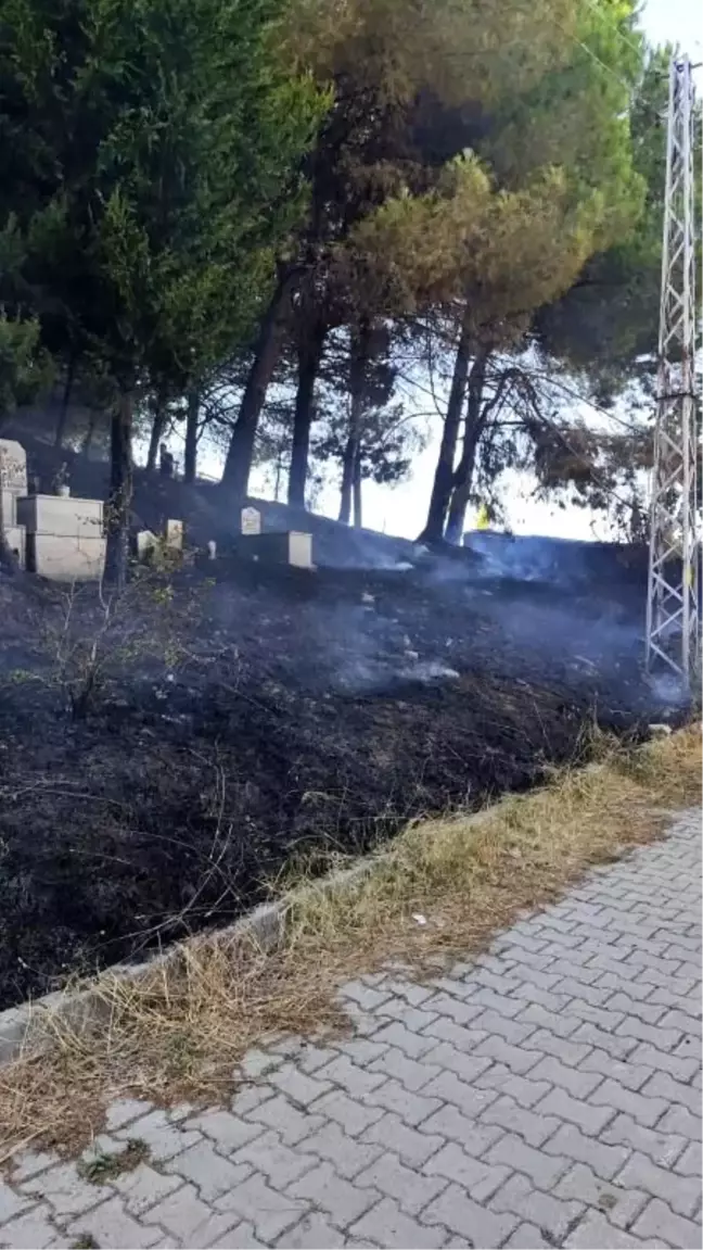 Yalova'da mezarlık yangını kontrol altına alındı