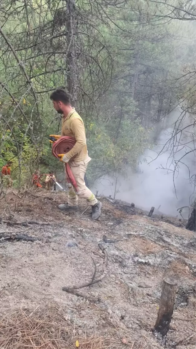 Karabük'ün Ovacık ilçesinde çıkan orman yangını kontrol altına alındı