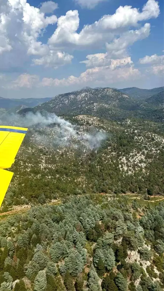 Bucak'ta Yıldırım Düşmesi Sonucu Çıkan Orman Yangını Söndürüldü