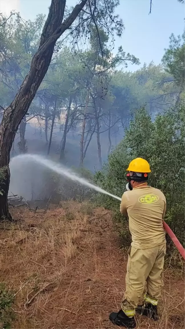 Adana'da Orman Yangını Kontrol Altına Alındı