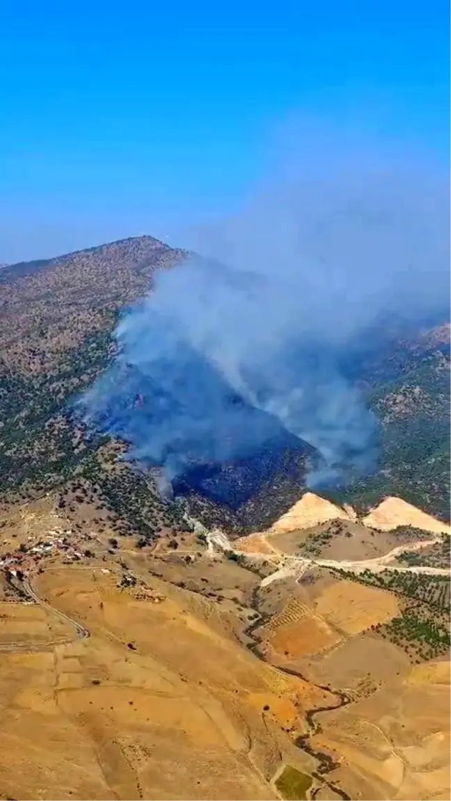 Manisa'da Orman Yangınına Hızla Müdahale Ediliyor