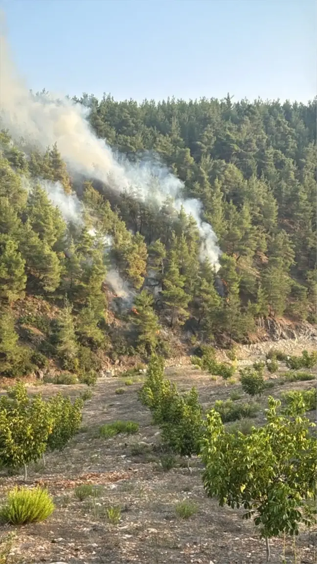 Yayladağı'ndaki Orman Yangını Hızla Söndürüldü