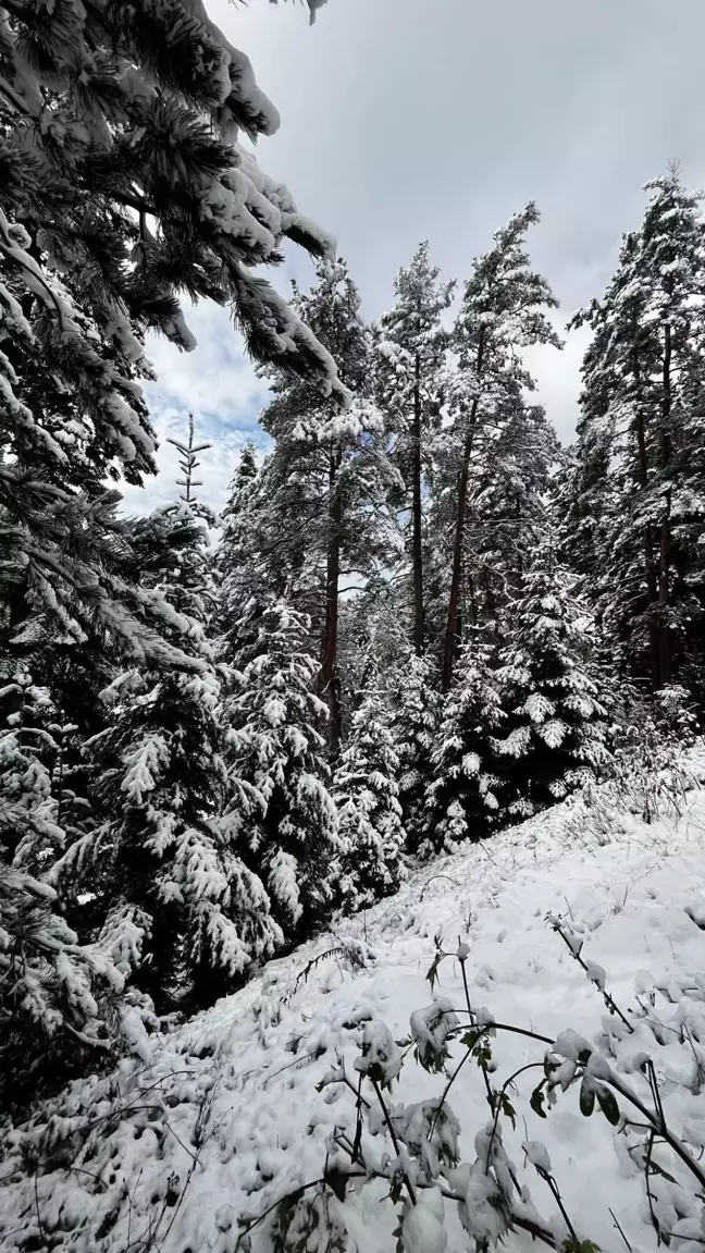 Sinop'ta Mevsimin İlk Karı Yağdı