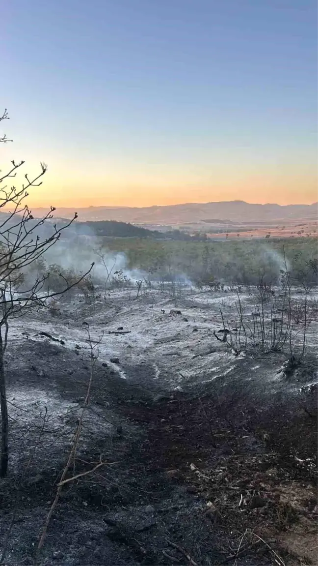 Bursa'da Orman Yangını Kontrol Altına Alındı