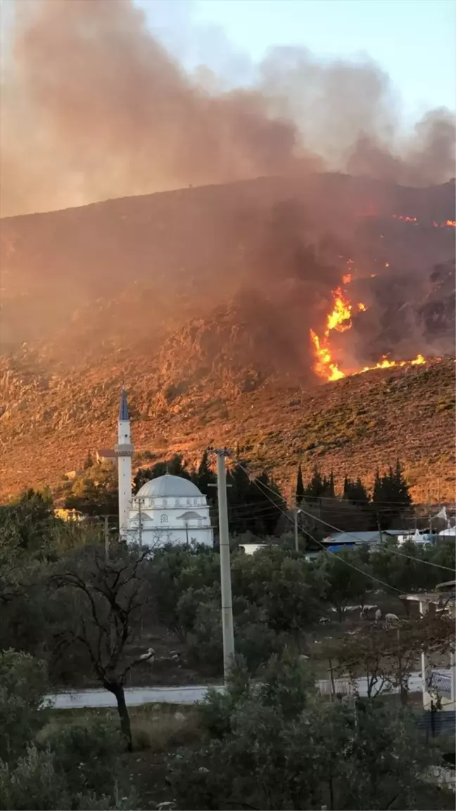 Marmaris'te Orman Dışı Alanda Yangın: 8 Hektar Zarar Gördü