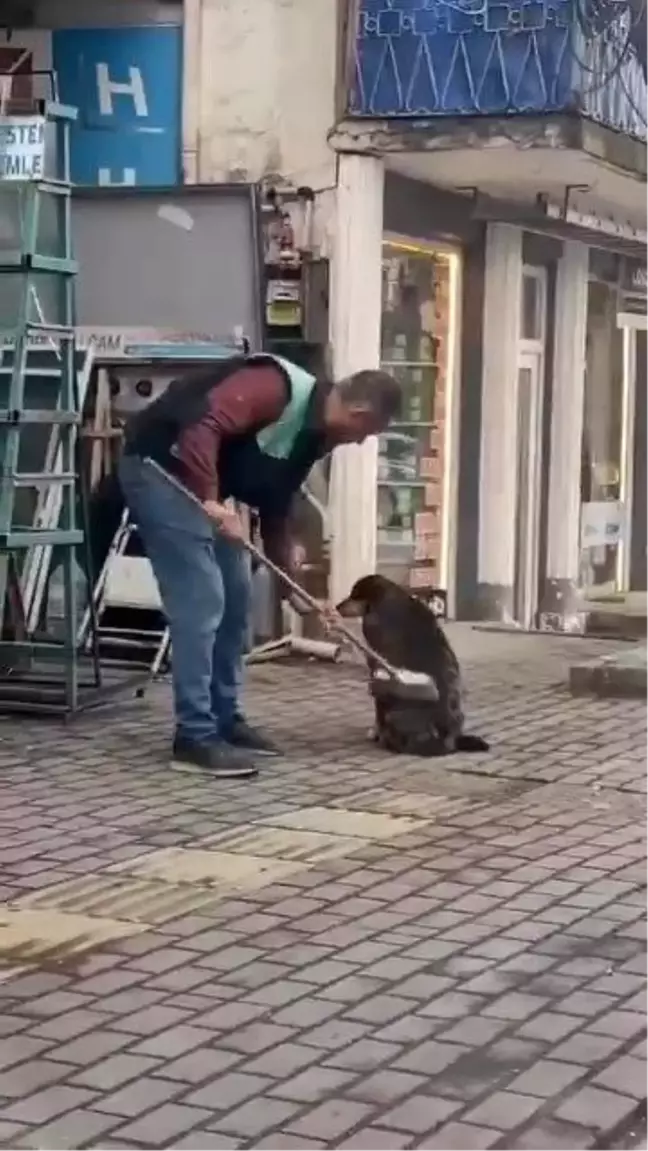 Bursa'da Esnafın Yürek Isıtan Hareketi: Sokak Köpeğini Temizledi