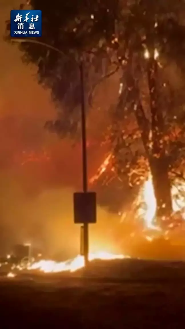 Los Angeles'taki Orman Yangınları Sebebiyle Zorunlu Tahliye İlan Edildi