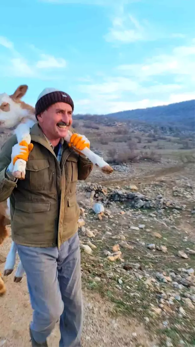 Kardeşler, Dağda Doğan Buzağıyı Sırtlarında Taşıyarak Eve Getirdi