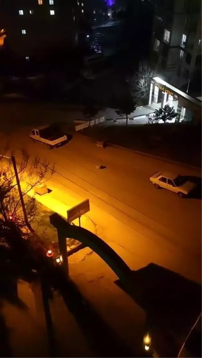 Elazığ'da Başıboş Köpeklerin Saldırısına Uğrayan Çocuğun Korku Dolu Anları Kamerada