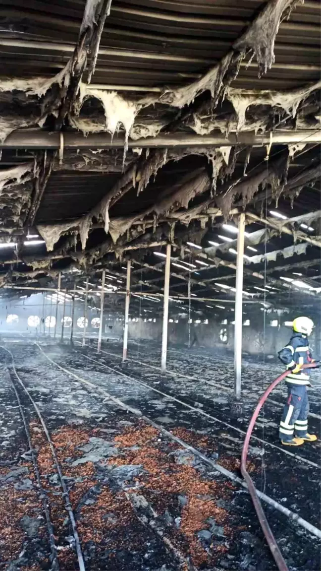 Mersin'de Boş Tavuk Çiftliğinde Yangın Çıktı