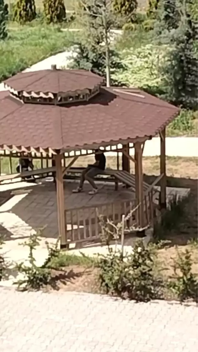 Elazığ'da İki Kişi Parkta Kamelyalara Zarar Verdi