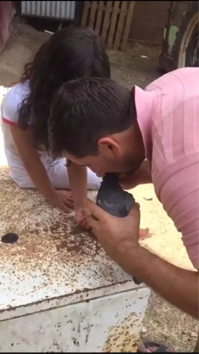 Gaziden insanlık dersi