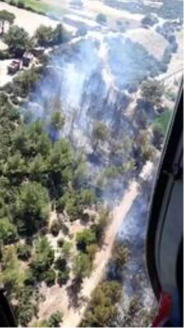 Çanakkale'de orman yangını (2)