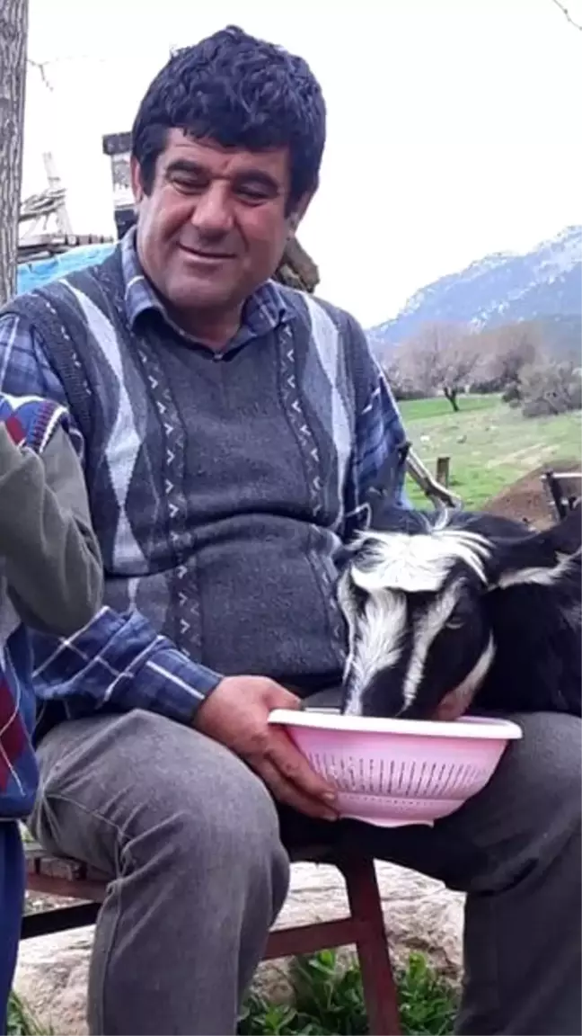 Denizli'de Çoban Cinayeti: Alacak Verecek Meselesi Kanlı Bitti
