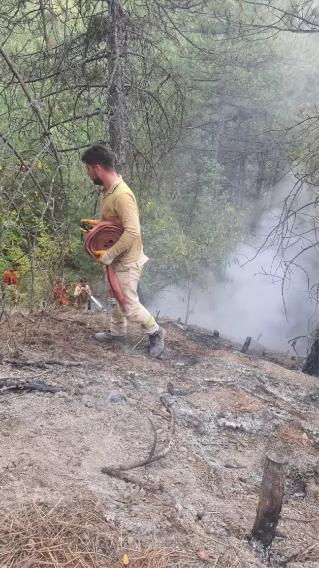 Karabük'ün Ovacık ilçesinde yıldırım düşmesi sonucu ormanda yangın çıktı