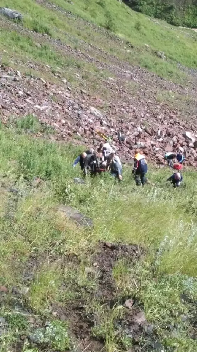 Şavşat'ta Kaza: Aynı Aileden 3 Kişi Öldü, 1 Kişi Yaralandı