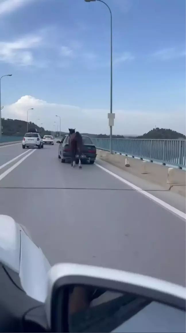 Adana'da Atı Otomobile Bağlayarak Eziyet Eden Sürücüler Tutuklandı