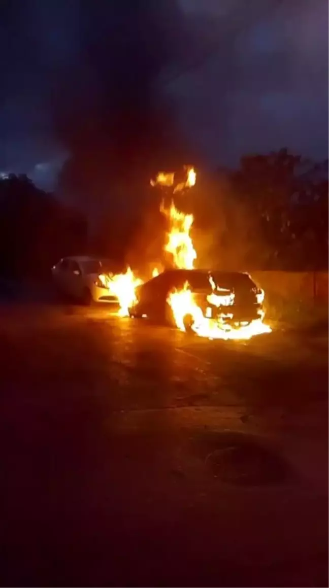 Pendik'te Park Halindeki Otomobilde Yangın Çıktı
