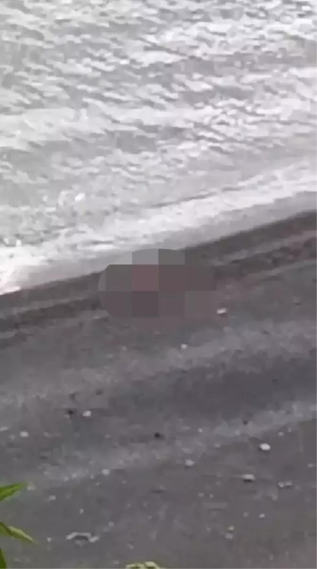 Zonguldak'ta Plajda Cinsel İlişki İddiasıyla İnceleme Başlatıldı