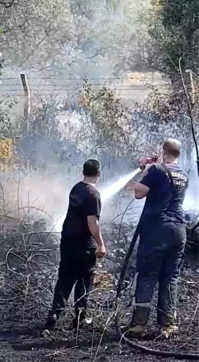 Yalova'da Zeytinlik Alanında Yangın Çıktı