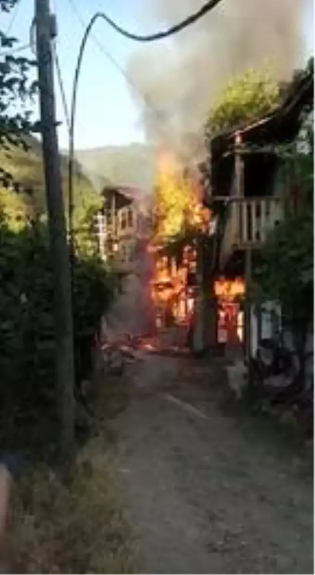 Karabük'te 2 ev alev alev yandı