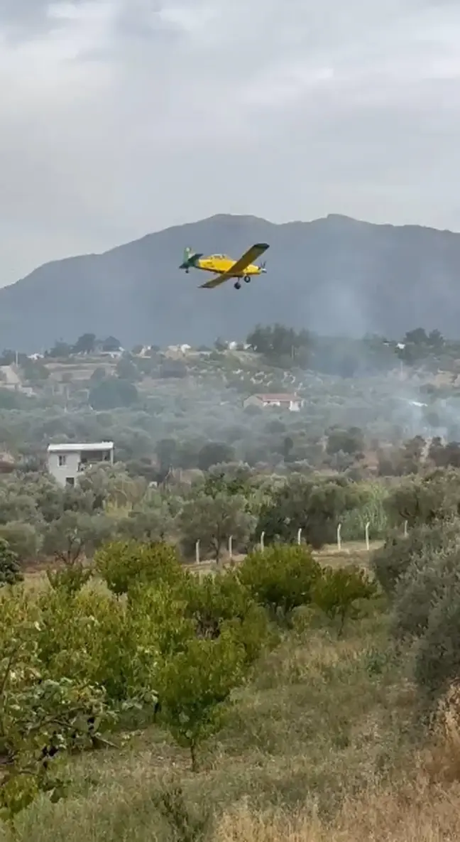 İzmir Kemalpaşa'da Zeytinlikte Yangın Kontrol Altına Alındı