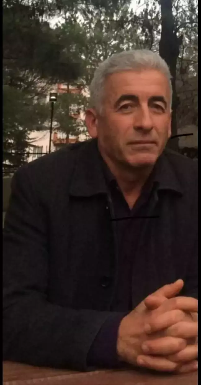 Ünye'de ağaç keserken hayatını kaybetti