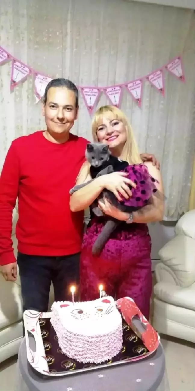 'Gümüş' kedi için doğum günü partisi