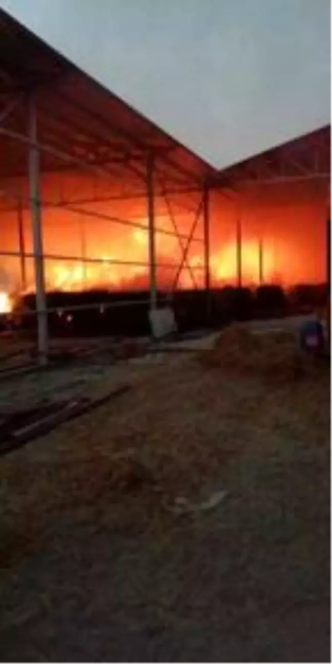 Yangına müdahalede kalp krizi geçiren itfaiyeci yaşamını yitirdi
